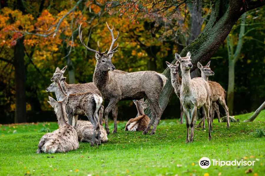 Zoopark Chomutov