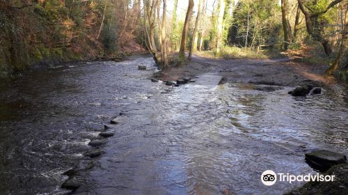 Rivelin Valley Nature Trail