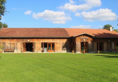 Musée des traditions et de lhistoire de Biscarrosse