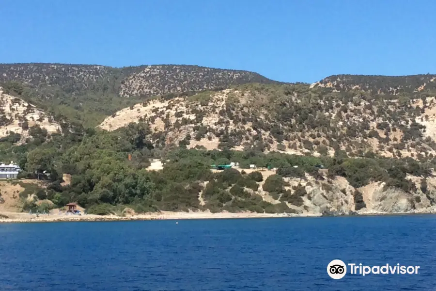 Mediterranean One Glass Bottom Boat