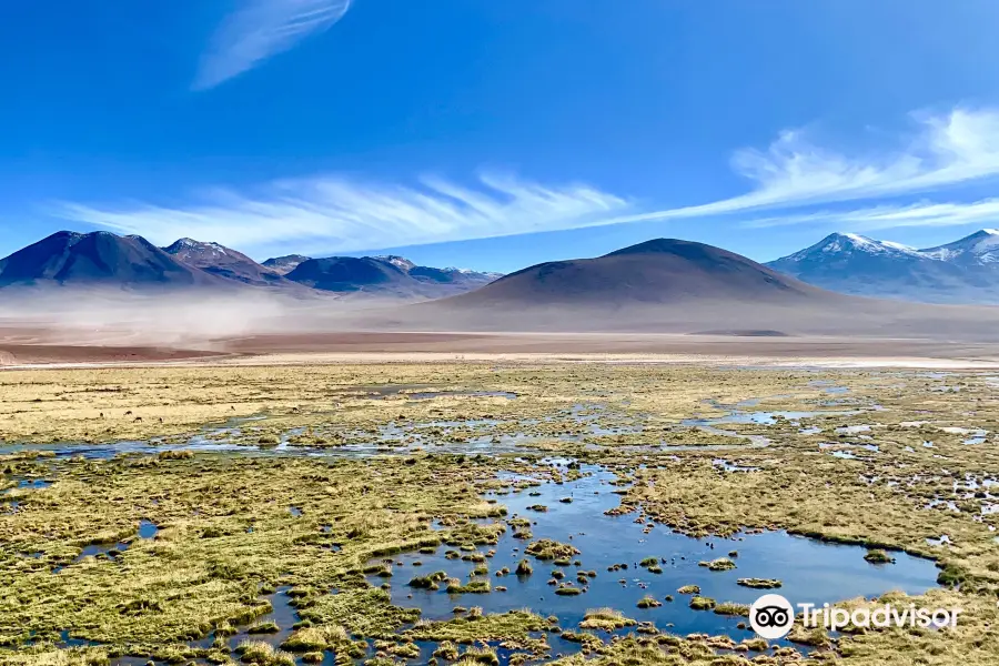 Atacama Dessert