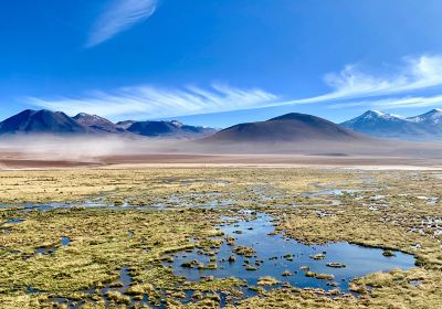 Atacama Dessert