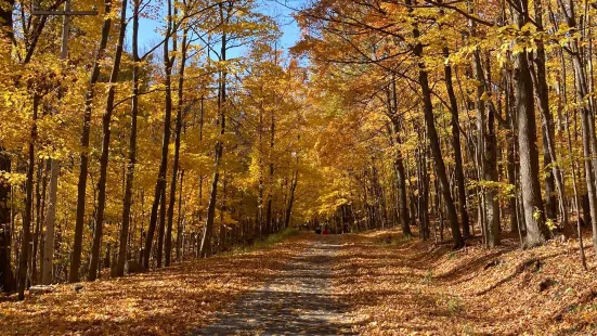 Parc national du Mont-Saint-Bruno