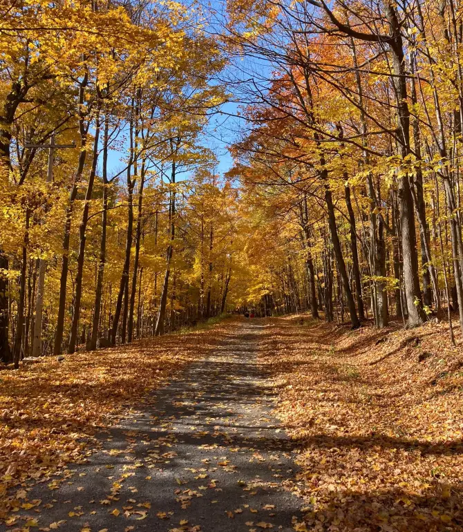 Saint-Bruno-de-Montarville