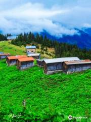 Pokut Yaylası