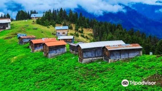 POKUT