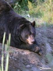 Greater Vancouver Zoo