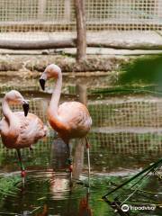 Zooparc Overloon