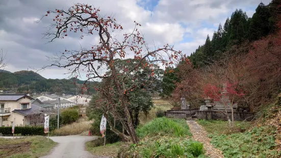 Goryo Momiji (Goryo Shrine)