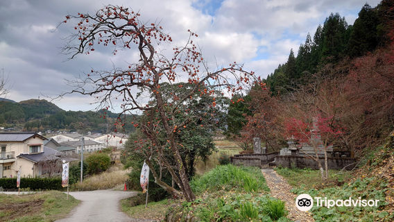 Nakatsu