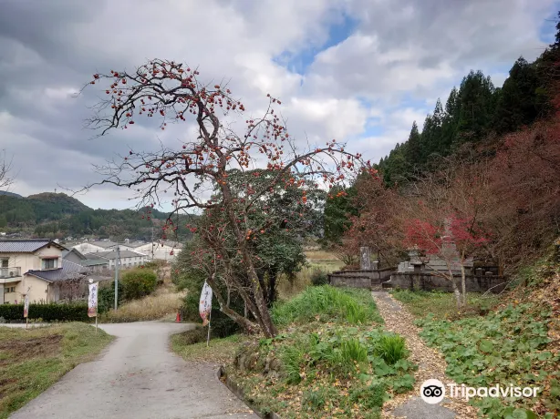 Goryo Momiji (Goryo Shrine)