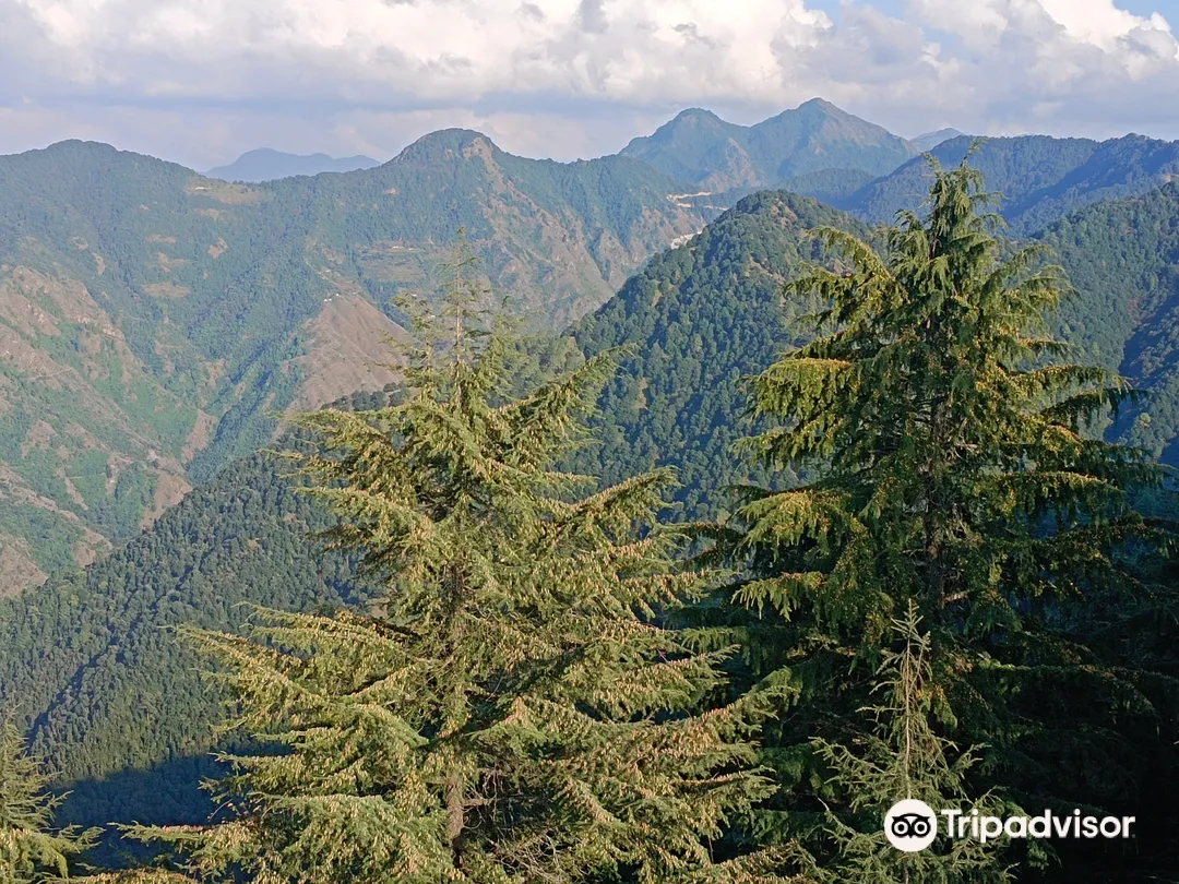 3_Lal Tibba Scenic Cafe