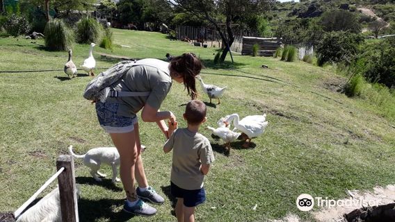 Granja Jazmin de Luna