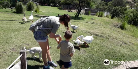 Granja Jazmin de Luna