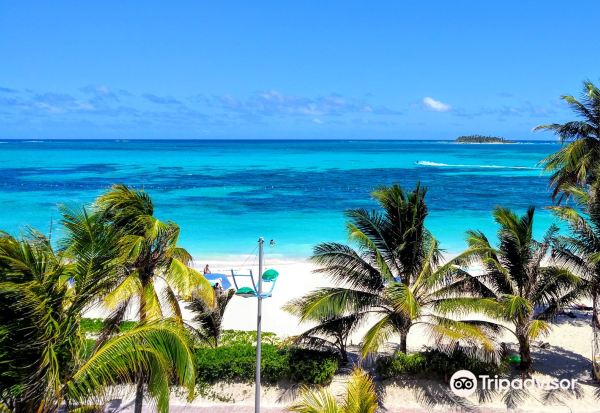 Playa Spratt Bight