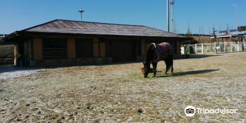仁川大橋紀念館