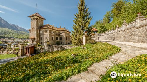 Cantacuzino Castle