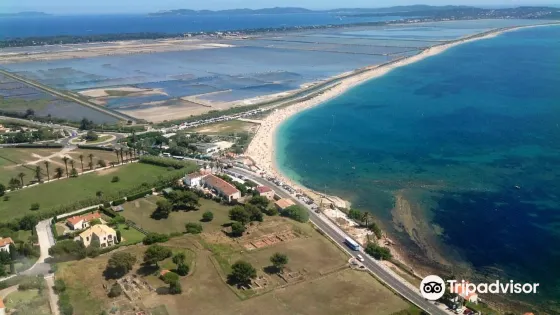 Site Archéologique d'Olbia