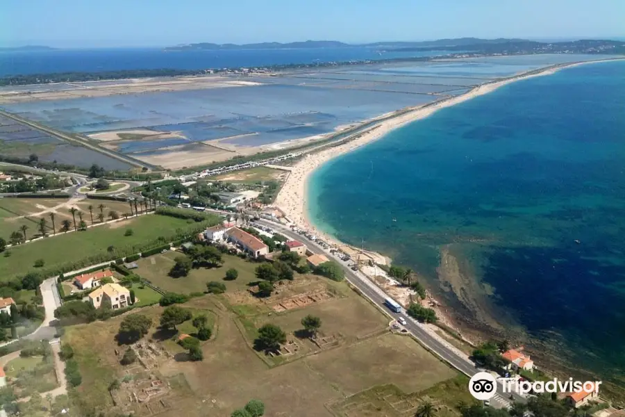 Site Archéologique d'Olbia