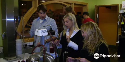 Vines to Cellars Winery