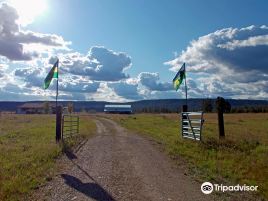 Win-Tur Bison Farm