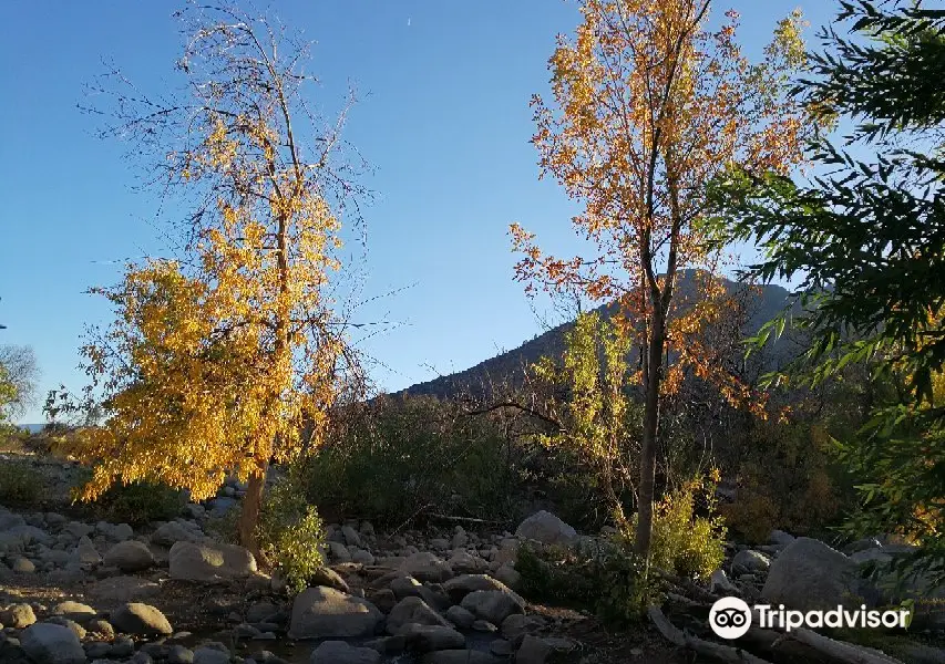 Whiskey Flat Trail