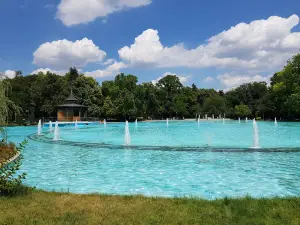 Singing Fountains