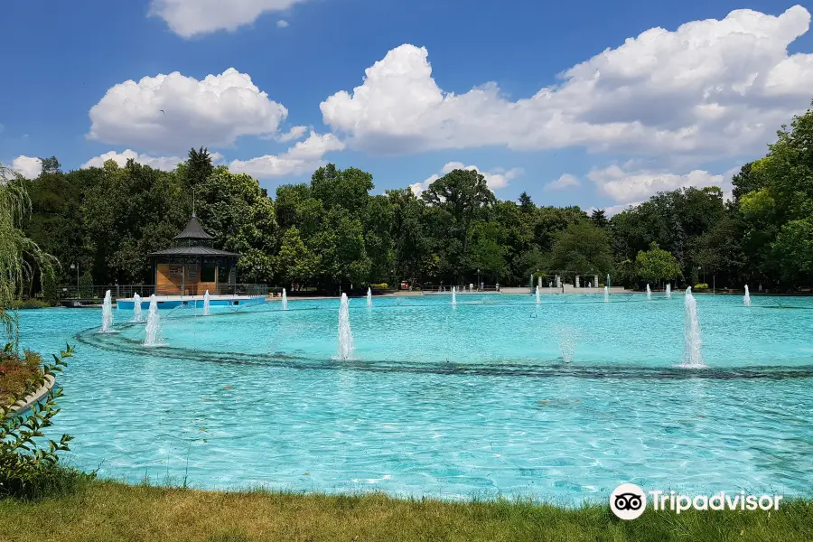 Singing Fountains