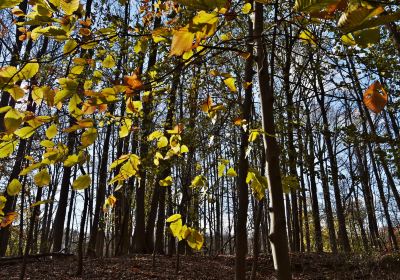 Marshlands Conservancy