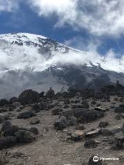 Pamoja Kilimanjaro & Safaris