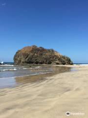 Parque Nacional Marino Las Baulas de Guanacaste