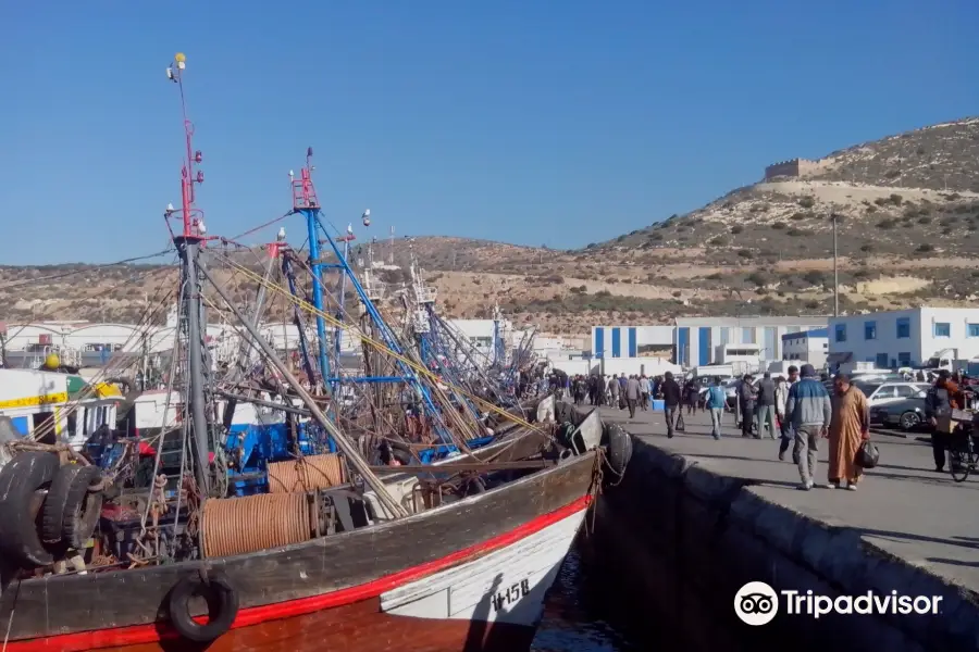 Agadir fishing port