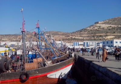 Agadir fishing port