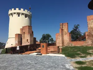 Ardud Medieval Fortress