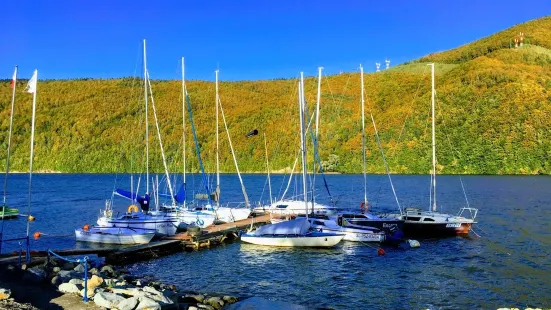 Miedzybrodzkie Lake