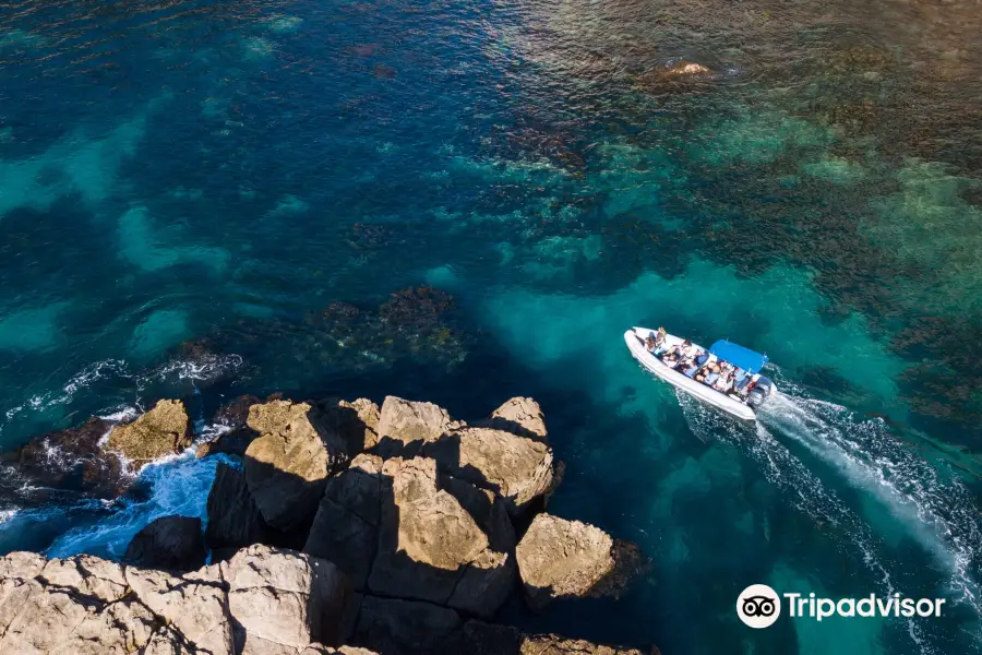 Sea Cave Adventures