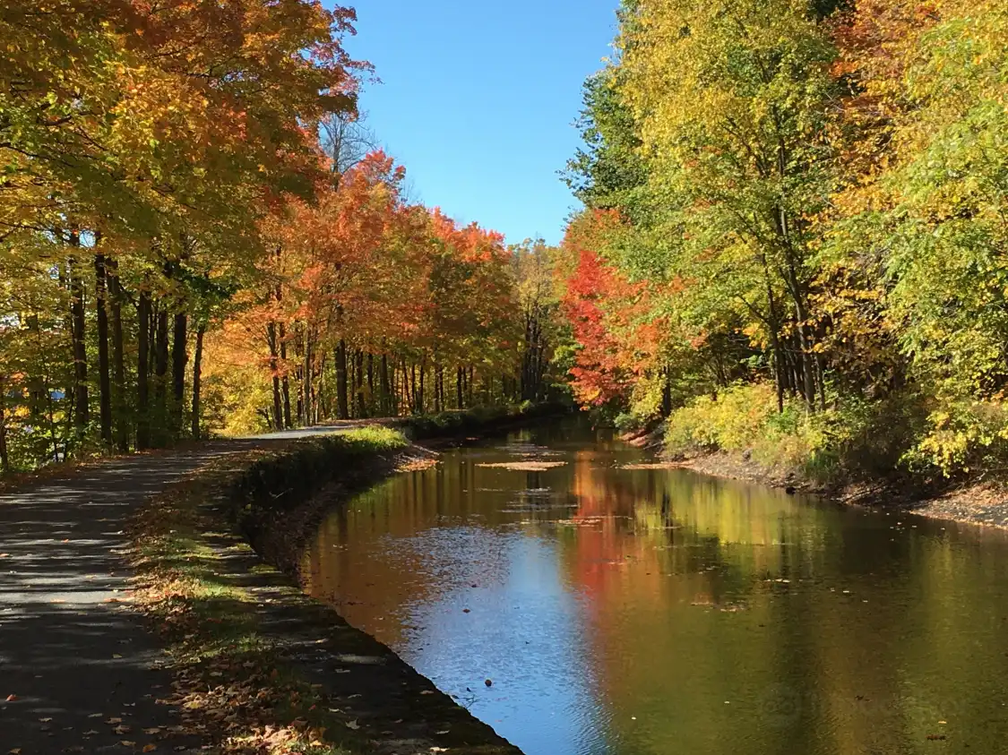 Hotels near Feeder Canal Trail