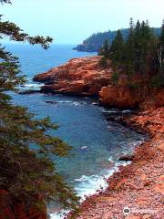 Scenic Flights Of Acadia