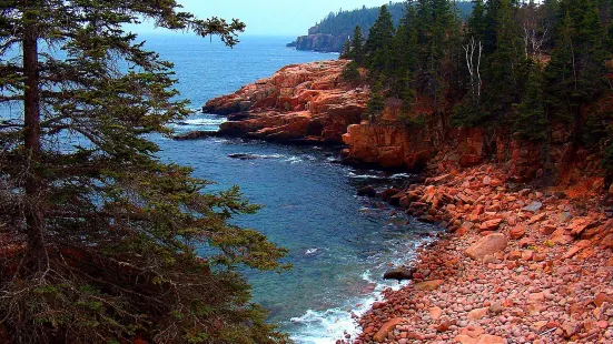 Scenic Flights Of Acadia