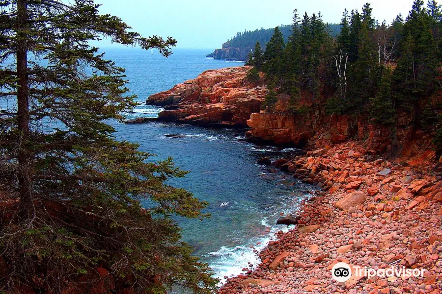 Scenic Flights of Acadia