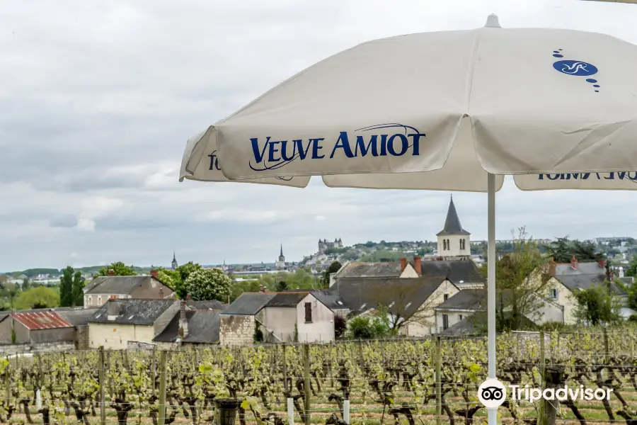 Caves Veuve Amiot