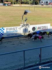 Wanganui Greyhounds