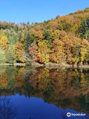 Arboretum of Aubonne