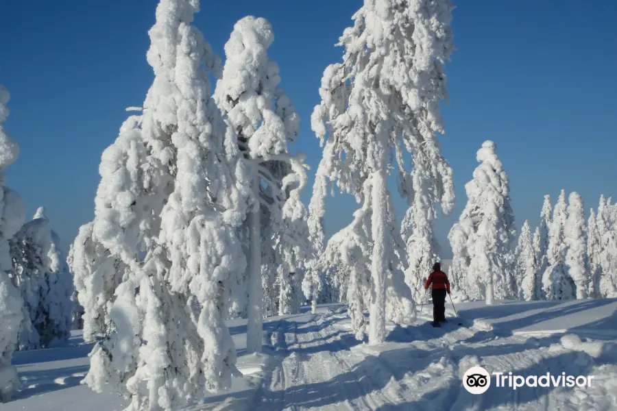 Tulikipina Artic Adventures