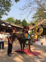 Wat Tham Pa Archa Thong: The Golden Horse Temple