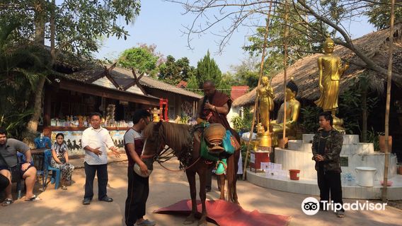 Wat Tham Pa Archa Thong: The Golden Horse Temple