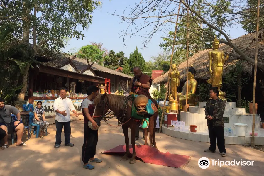 Wat Tham Pa Archa Thong: The Golden Horse Temple