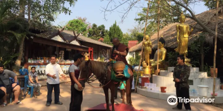 Wat Tham Pa Archa Thong: The Golden Horse Temple