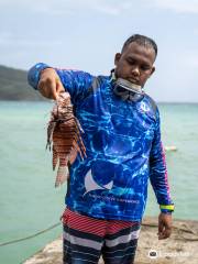 Tobago Dive Experience