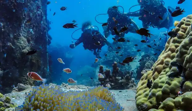 Hotels near Koh Tao Scuba Club